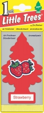 Ароматизаторы Car-Freshner 2885